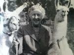 Agatha Christie and some llamas at Paignton Zoo, Devon